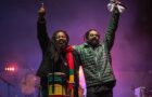Marley Brothers image